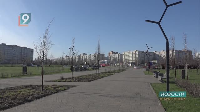 «Да будет свет!»: в парке «Зелёный Лог» вновь будут работать все фонари