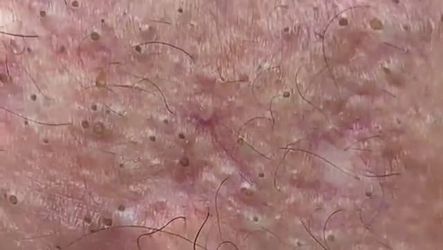 Relax Spa • 247 • АСМР • SacDepSpa Collection