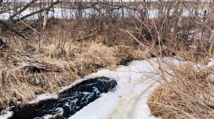 Журчат ручьи. Звуки природы для снятия стресса и спокойного сна. Релаксация.