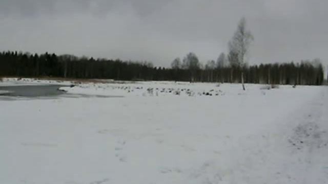 Парк Зверинец в объективе Olympus C-770.