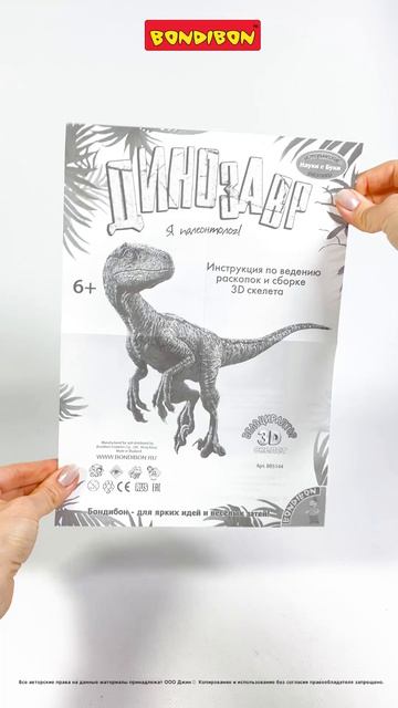 Исторические раскопки Динозавры Велоцираптор #развивающийнабор#археология#развитиедетей#юныйученый