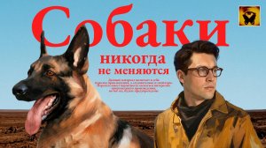 Почему так много Собак в Апокалипсисе ?