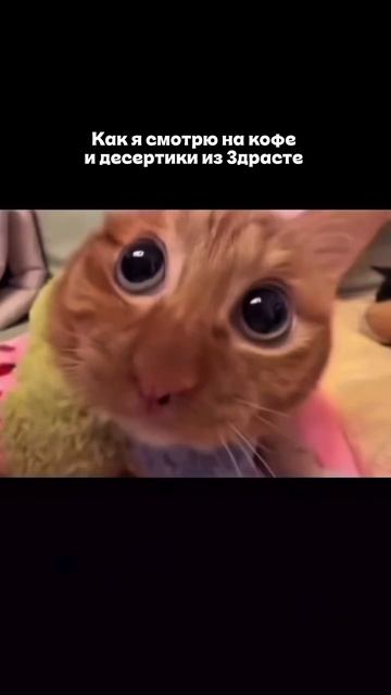 На первый заказ в Здрасьте оффлайн или онлайн по промокоду ZDRASTE3 скидка 3%