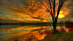 Осень, она не спросит