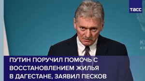Путин поручил помочь с восстановлением жилья в Дагестане, заявил Песков