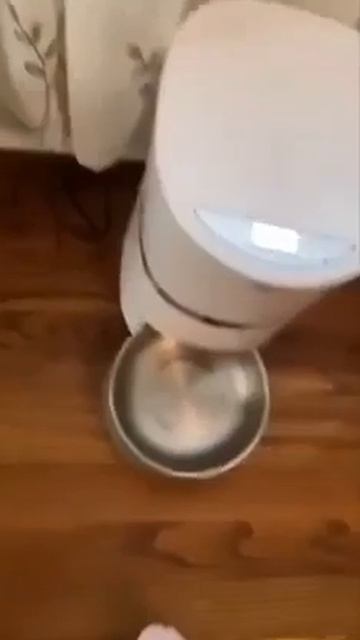 Клип @meowtaverse