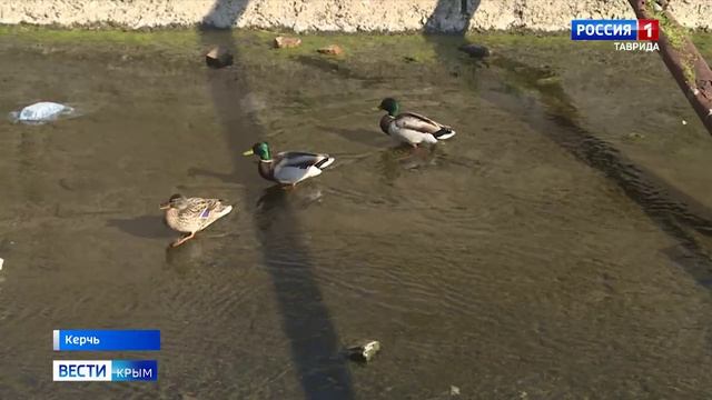 В Керчи местные жители обеспокоены состоянием русла реки Мелек-Чесме