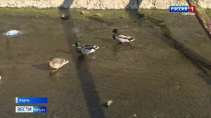 В Керчи местные жители обеспокоены состоянием русла реки Мелек-Чесме