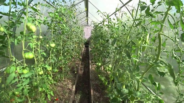 Влог от 13.08.2022