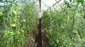 Влог от 13.08.2022