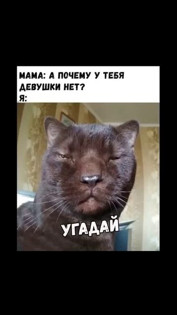 Лютые мемы У нас весело