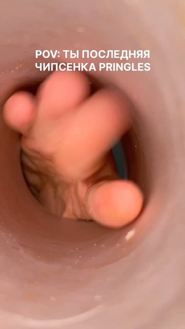 От меня не спрячешься… #морозовы #memes #haha #юмор