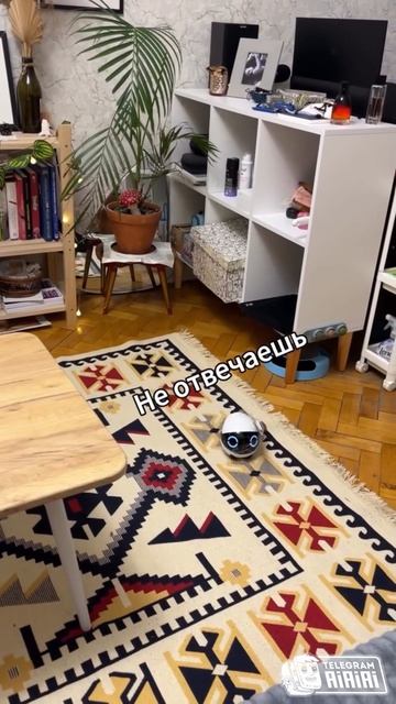 РОБОТ 🤖 ДЛЯ НАБЛЮДЕНИЯ ЗА КОТОМ ПОМОГАЕТ ОБЩАТЬСЯ