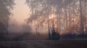 Владимир Белоглазов Берёзки белые