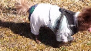 ВОТ  ОН  Я , ДЖОННИ !!!