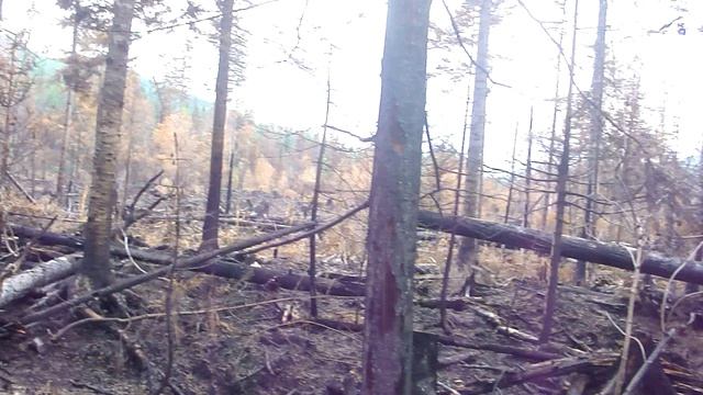 M4H07164 смотреть онлайн
