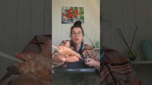 ЛЮЛЯ КЕБАБ НА МАНГАЛЕ. КАК ГОТОВИТЬ ЧТО БЫ НЕ УПАЛ С ШАМПУРА.