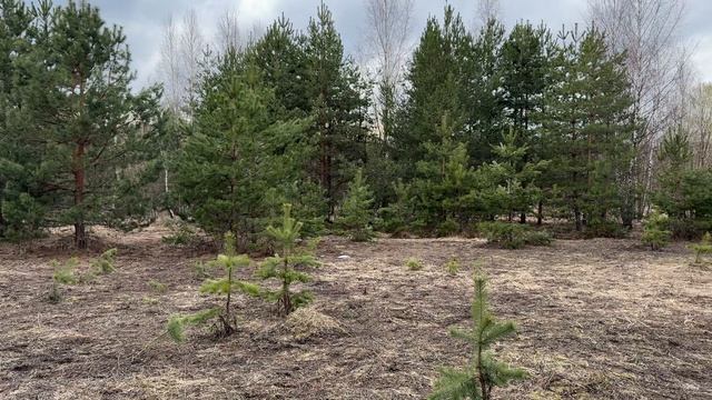 рп. им Цюрупы, ул Луговая