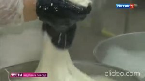 vremya efir ot 13122020 YmkTIkSQ smzc