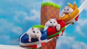 Хомяк Соник на самых больших в мире американских горках. 🐹