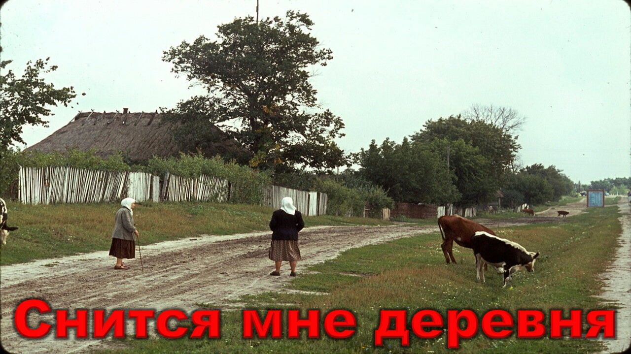 Сергей Беликов - Снится мне деревня
