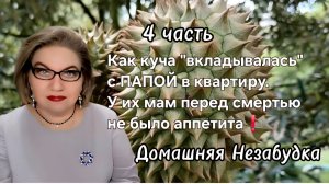 4 часть. Как куча "вкладывалась" с ПАПОЙ в квартиру❗️У их мам перед смертью не было аппетита❗️