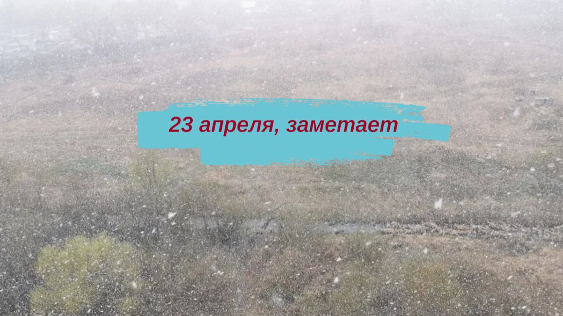 Снег весной, заметает, такая весна, 23 апреля #снег #весна #апрель #веснавРоссии #русскаявесна #2026