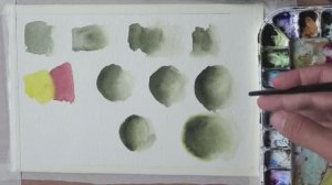 Техника акварельного наложения и контроля контуров. Учебное пособие