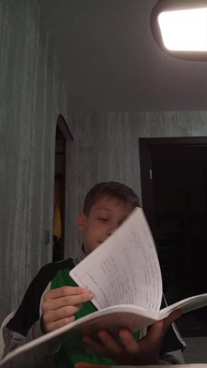 я делаю Литературу