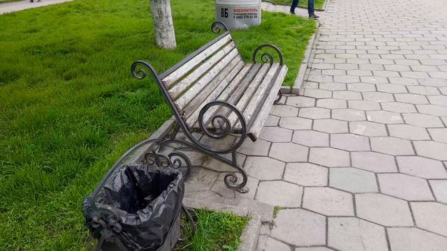 Трава цветы коты и я довольный!  23.04.2026