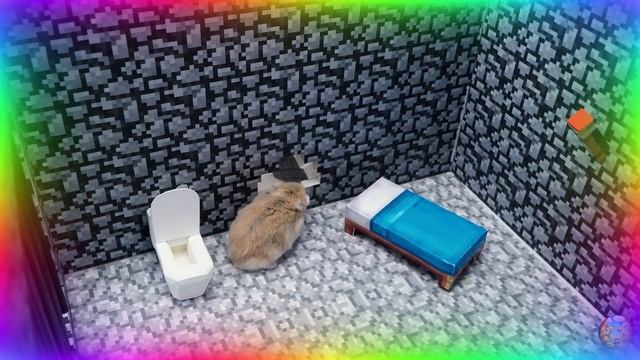 Хомяк против кальмара, игра 1. Главное испытание. Удивительный цифровой цирк. часть 3