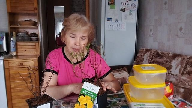 ЖИЗНЬ НА ПЕНСИИ.