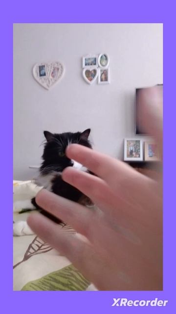 бааааааки серый