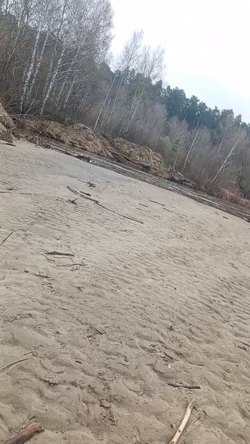 Приехал на речку а е там нету