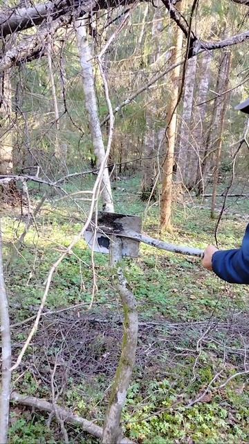 лопатой рубим дрова