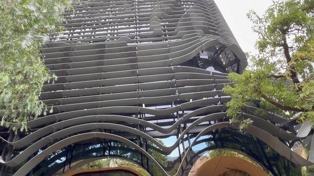 Странная лекция в университете.