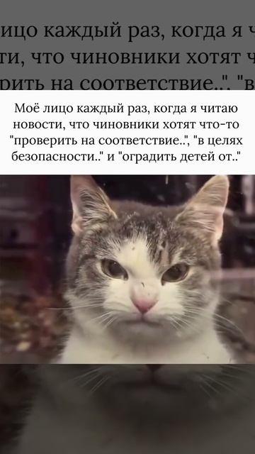 7otspbao_s0f0d14m0_720x772