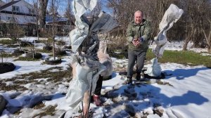 Как снегопад повлиял на сады и огороды Нижегородской области?