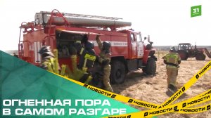 Огненная пора в самом разгаре. Больше 300 ландшафтных пожаров произошло в регионе за две недели