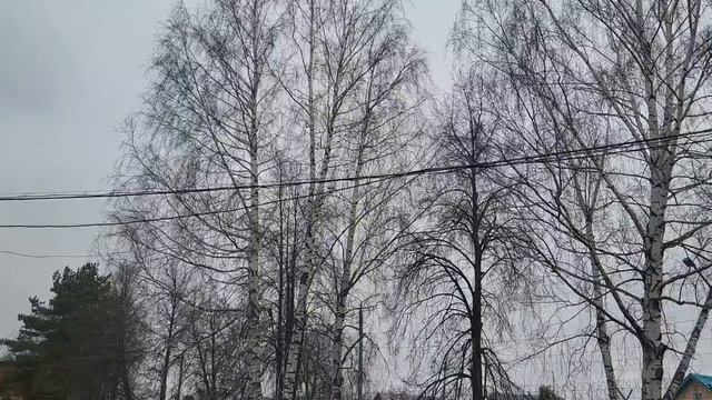 video_13978241753051.mp4 Мелодия весны