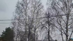 video_13978241753051.mp4 Мелодия весны