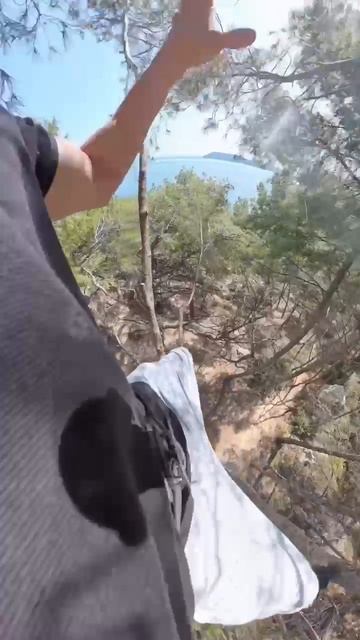 паркур по деревьям