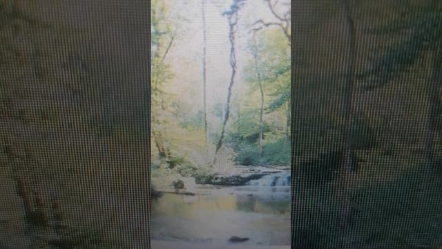 VID_20260322_115205.mp4