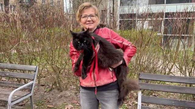 Вельзевул весна 2026