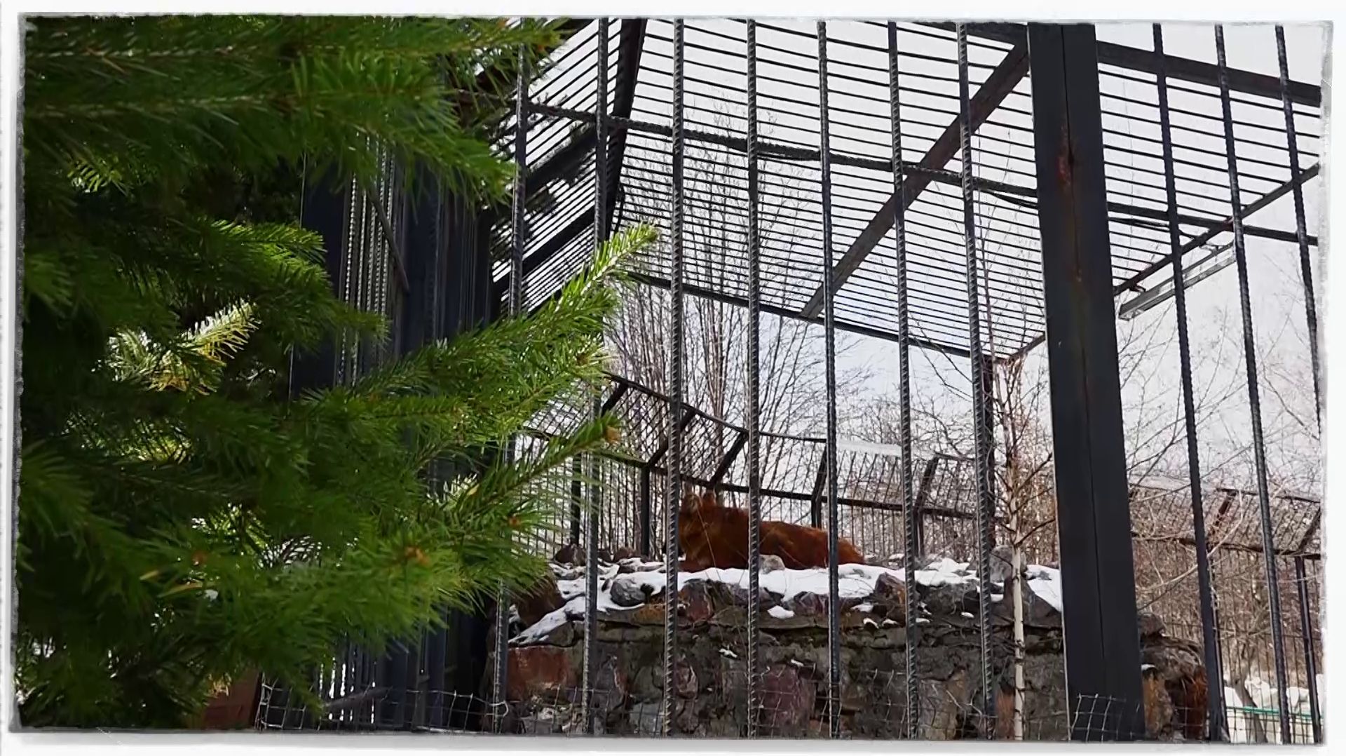 ПАРКУ ФЛОРЫ И ФАУНЫ «РОЕВ РУЧЕЙ» ПОГОДНЫЕ КАЧЕЛИ НЕ ПОМЕХА