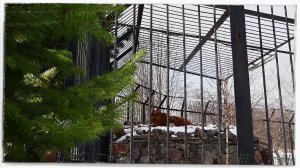 ПАРКУ ФЛОРЫ И ФАУНЫ «РОЕВ РУЧЕЙ» ПОГОДНЫЕ КАЧЕЛИ НЕ ПОМЕХА