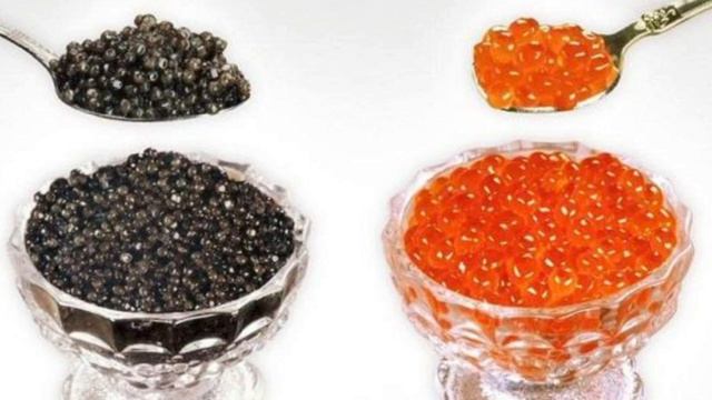 Учащиеся 8 А класса ЧОУ Лицея 1 СПУТНИК, с. Кошки