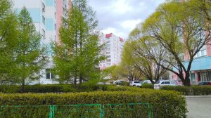 Появление зеленых листочков