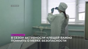 Сельское время 23 04 26