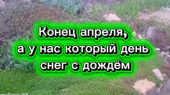 Конец апреля, а у нас который день снег с дождём, Пензенская область